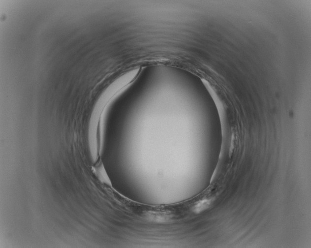 X0000084020556200703022100