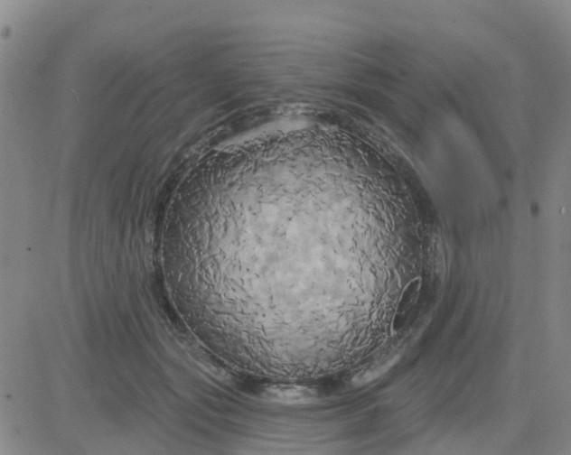 X0000084020557200703022100