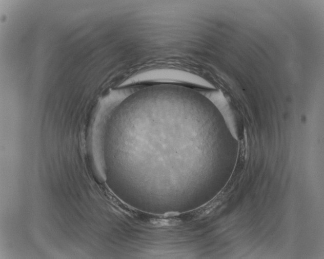 X0000084020558200703022100