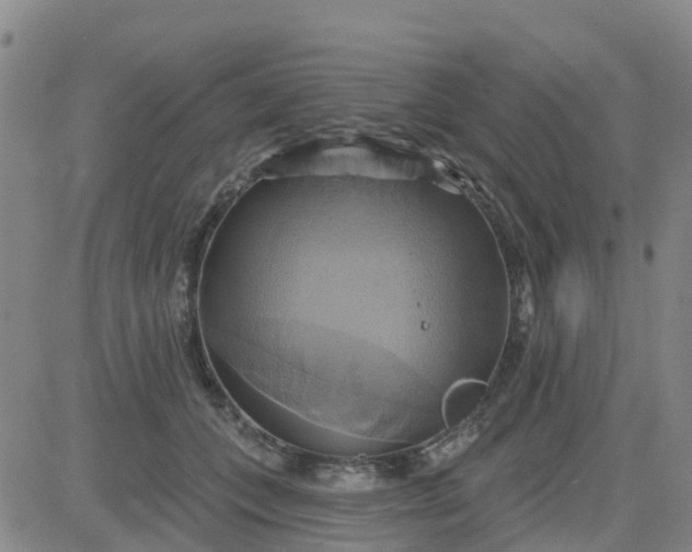 X0000084020559200703022100