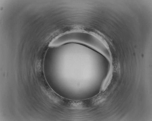 X0000084020560200703022100