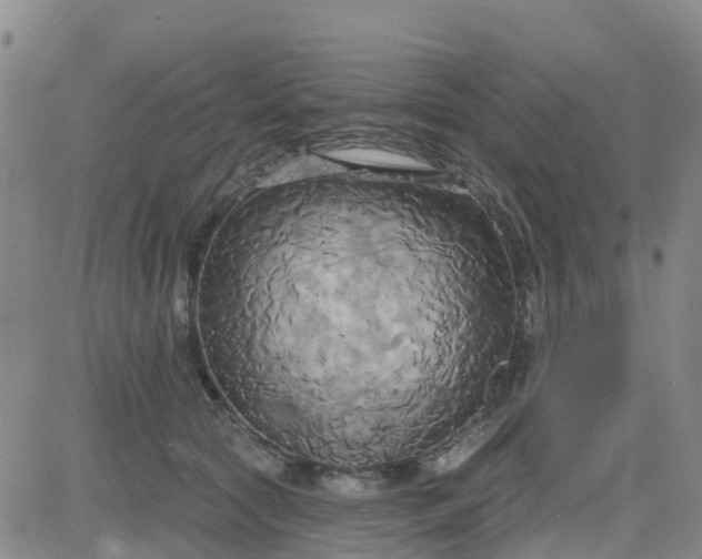 X0000084020561200703022100