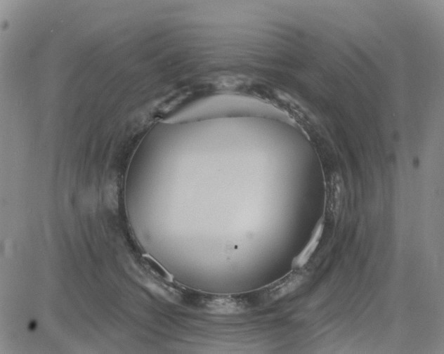 X0000084020562200703022100