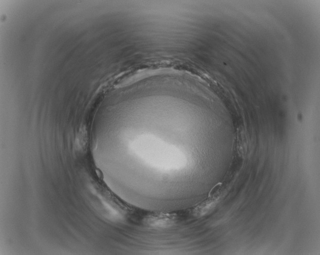 X0000084020563200703022100