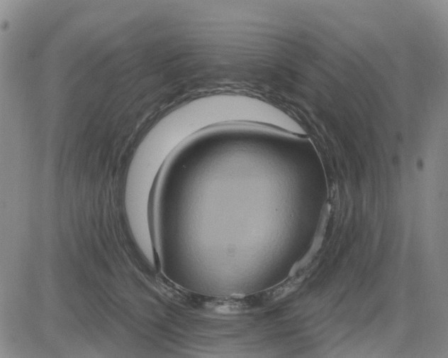 X0000084020564200703022100