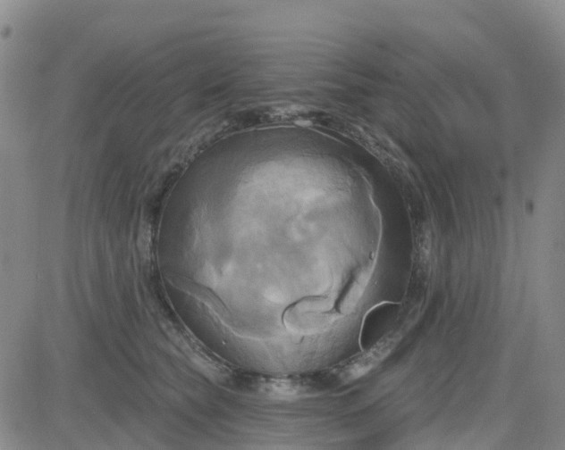 X0000084020565200703022100