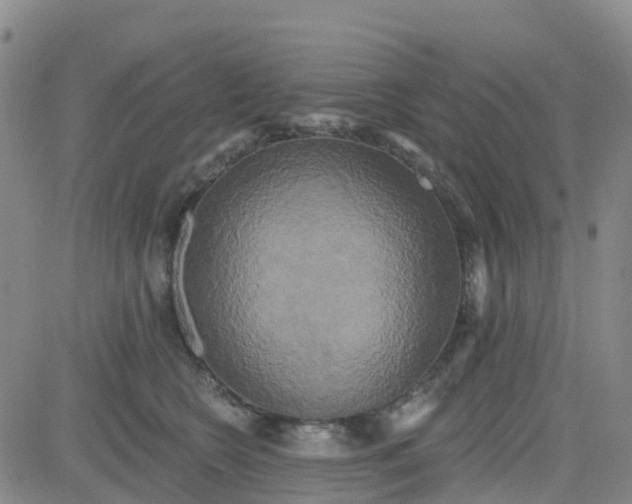 X0000084020566200703022100