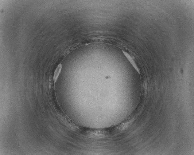 X0000084020567200703022100