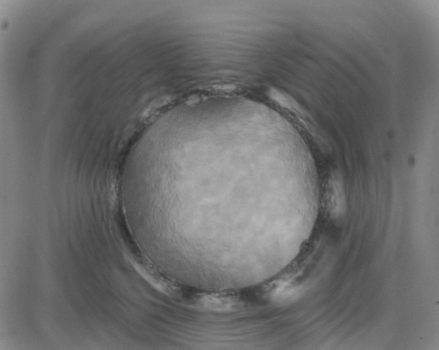 X0000084020568200703022100