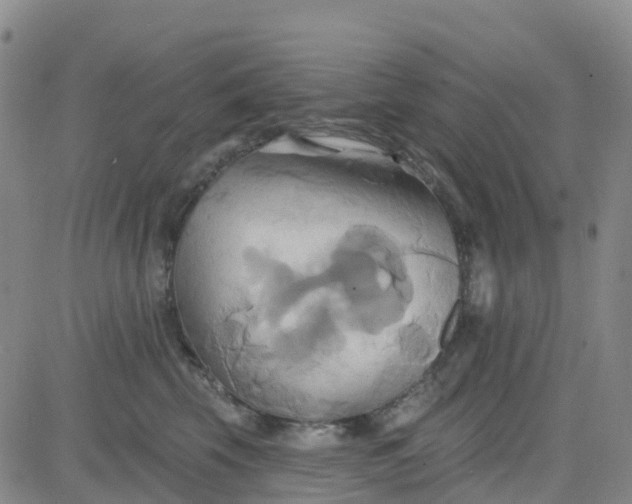 X0000084020569200703022100