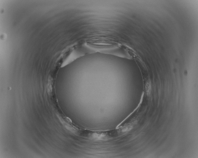 X0000084020570200703022100