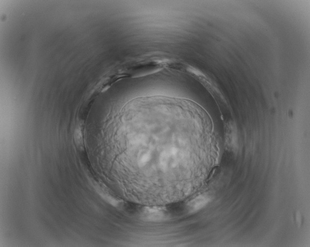 X0000084020573200703022100