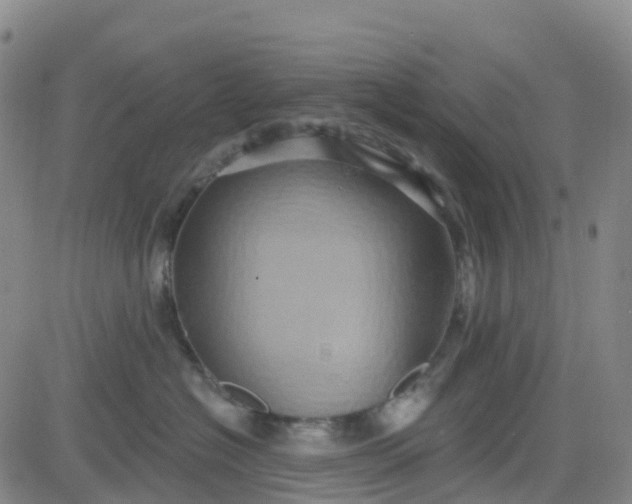 X0000084020574200703022100