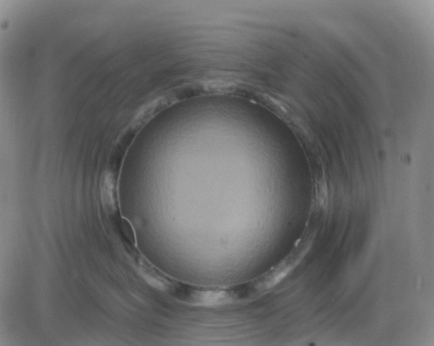 X0000084020575200703022100