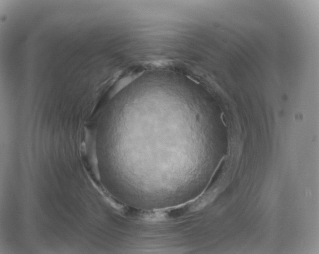 X0000084020576200703022100