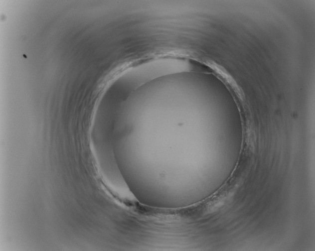 X0000084020577200703022059