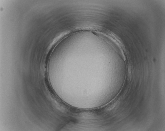 X0000084020578200703022059