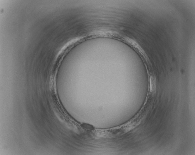 X0000084020579200703022059