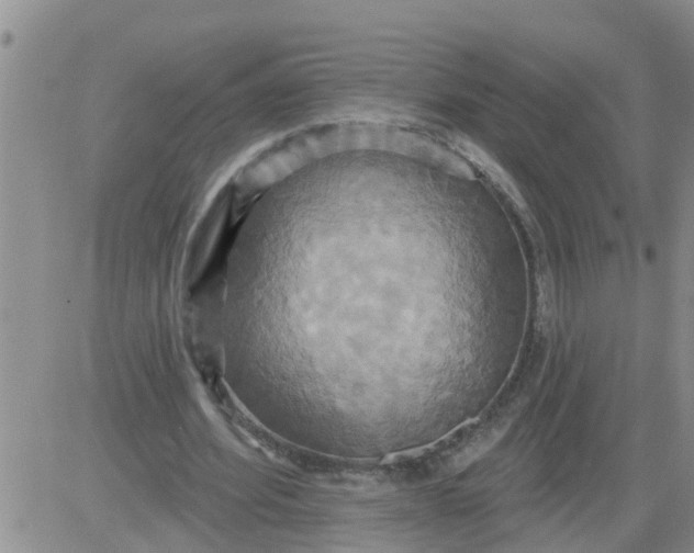 X0000084020580200703022059