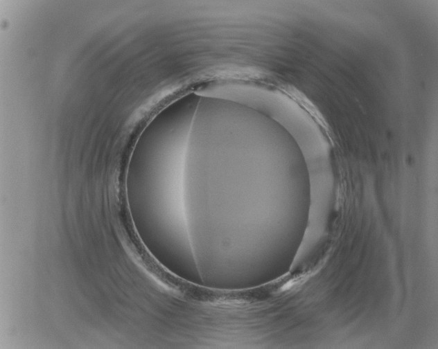 X0000084020581200703022059