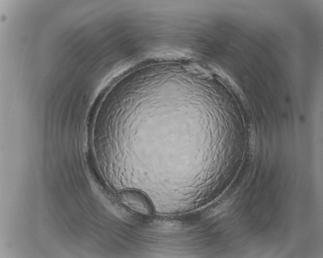 X0000084020582200703022059