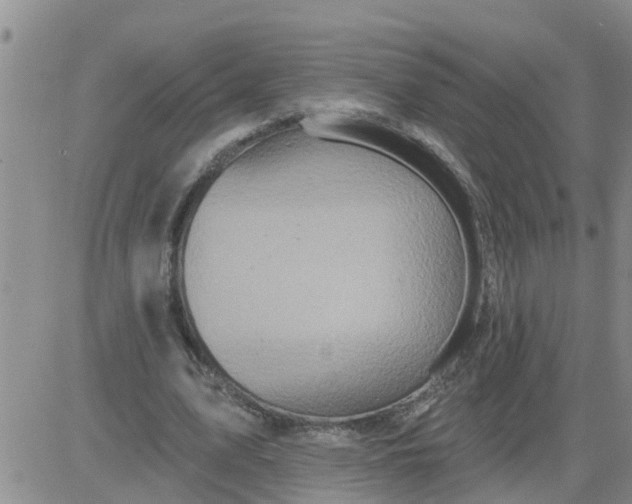 X0000084020583200703022059