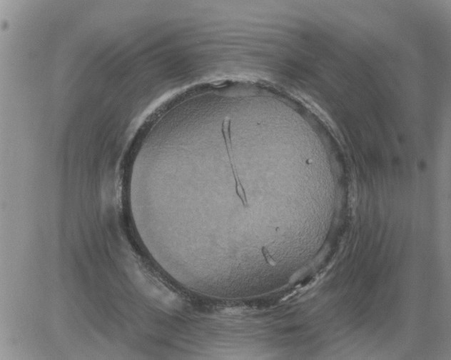 X0000084020584200703022059