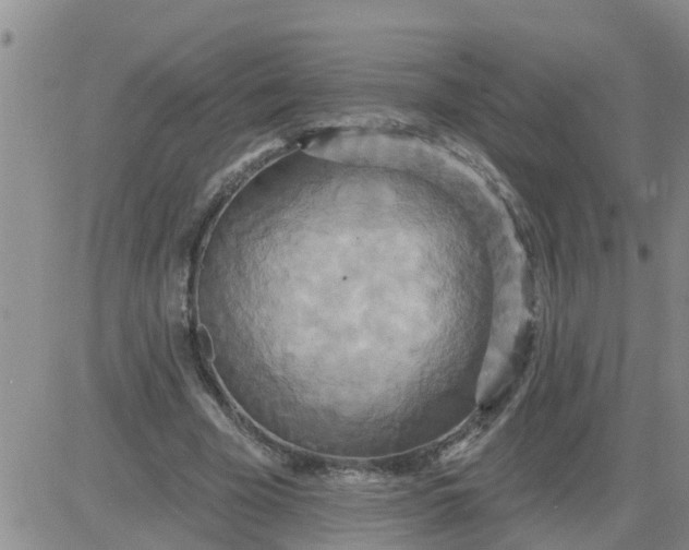 X0000084020585200703022059