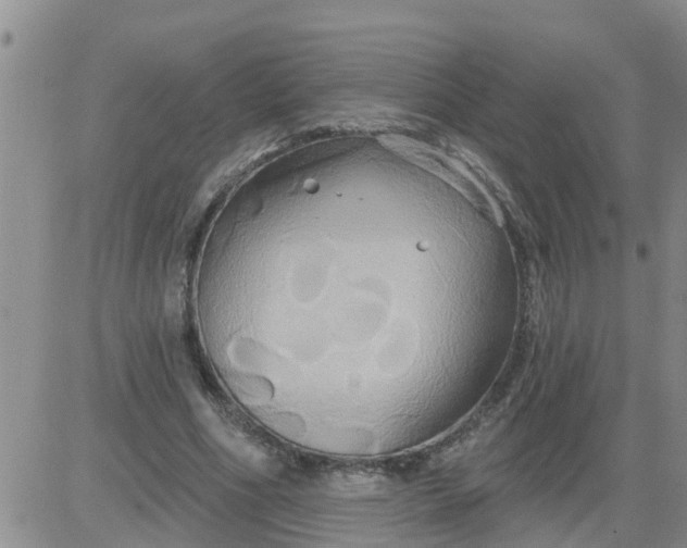 X0000084020586200703022059