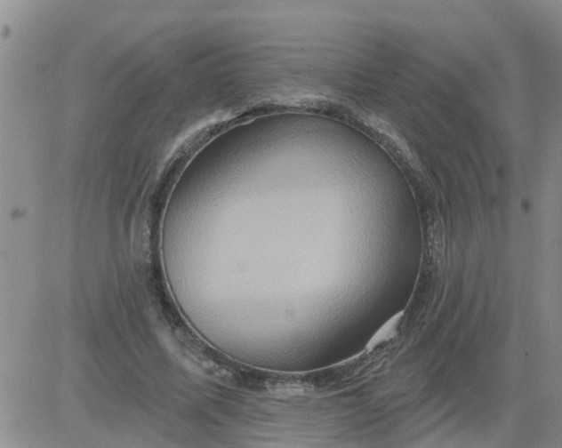 X0000084020587200703022059