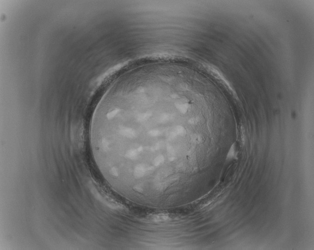 X0000084020588200703022059