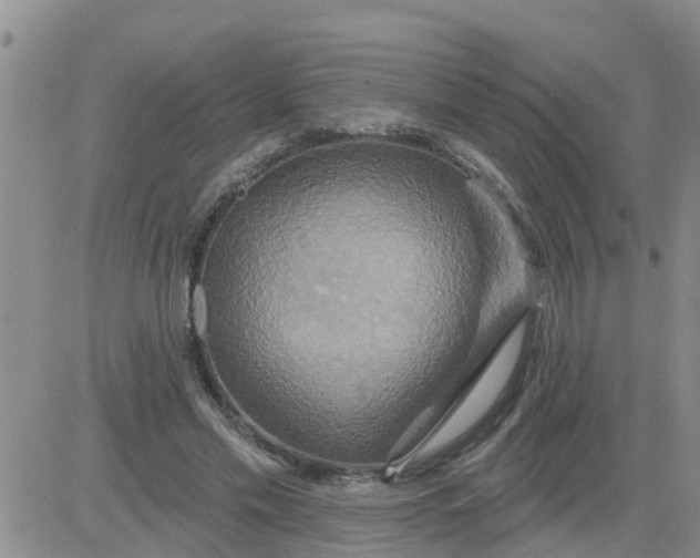 X0000084020589200703022059