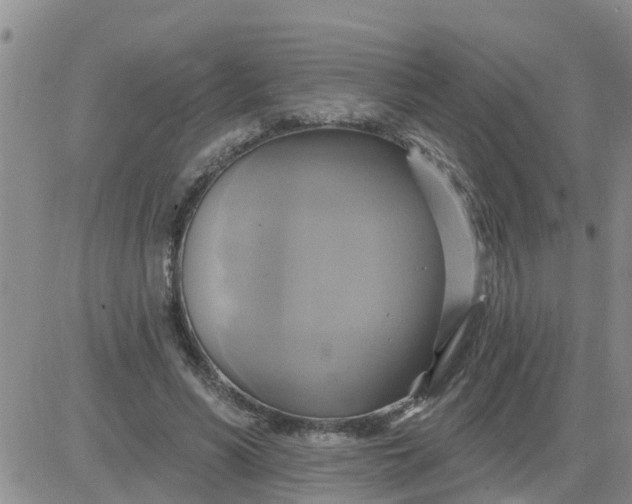 X0000084020590200703022059