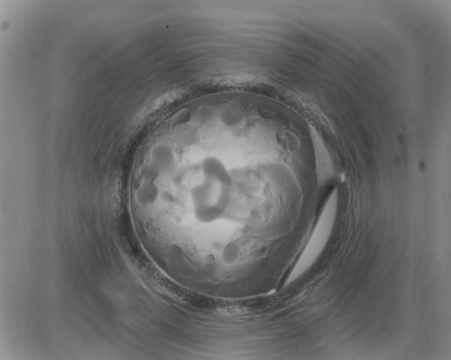 X0000084020591200703022059