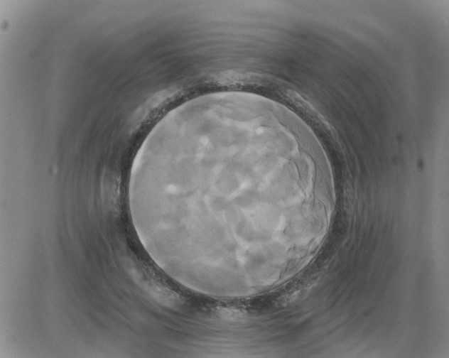 X0000084020592200703022059