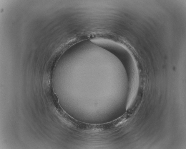 X0000084020593200703022059