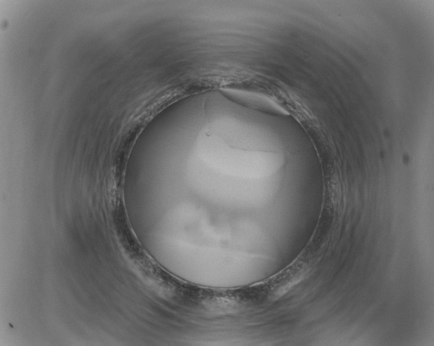 X0000084020594200703022059