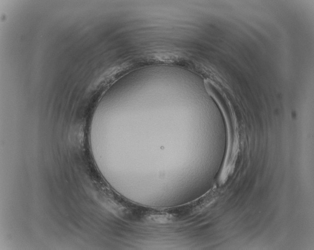 X0000084020595200703022059