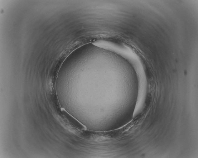 X0000084020597200703022059