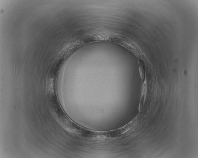 X0000084020598200703022059