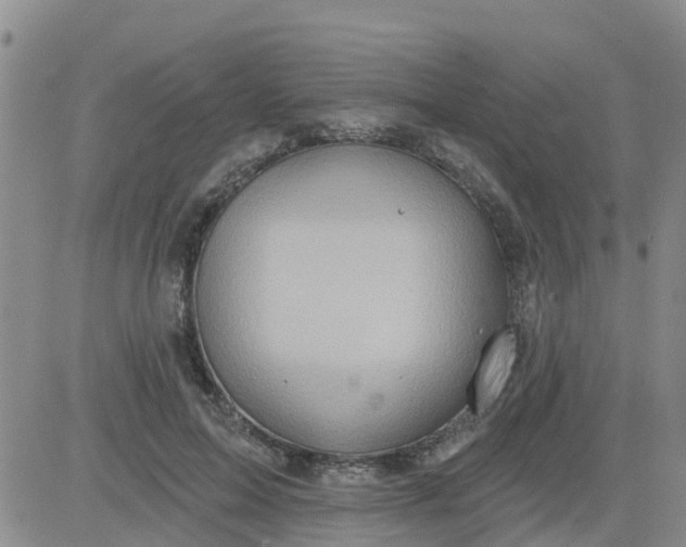 X0000084020599200703022059