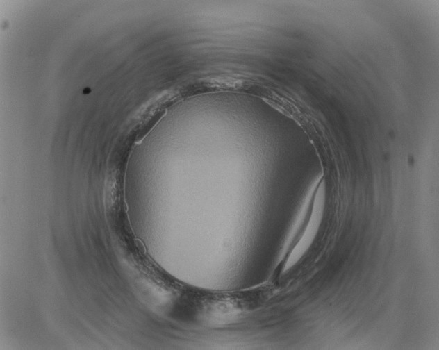 X0000084020600200703022059