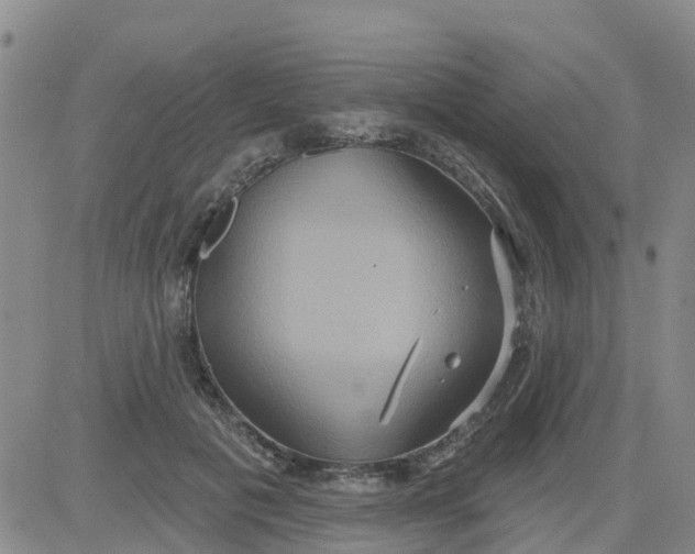 X0000084020601200703022059