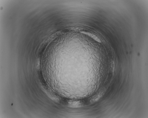 X0000084020602200703022059