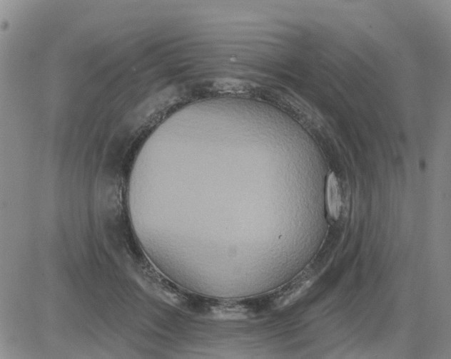 X0000084020603200703022059