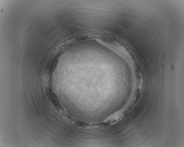 X0000084020604200703022059