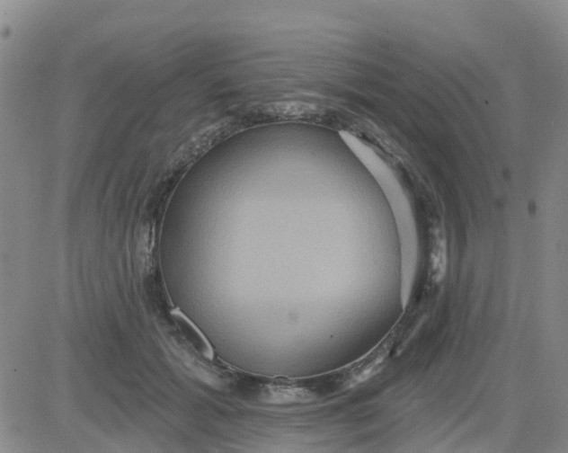 X0000084020605200703022059