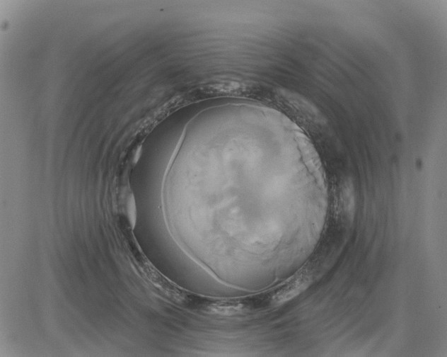 X0000084020606200703022059