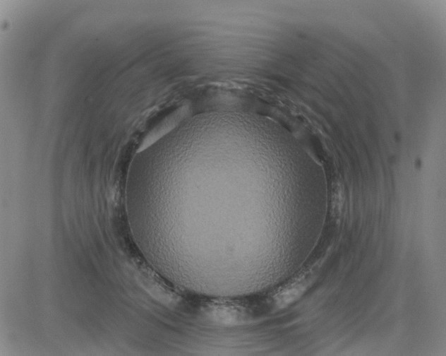 X0000084020608200703022059