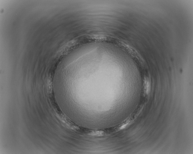 X0000084020609200703022059